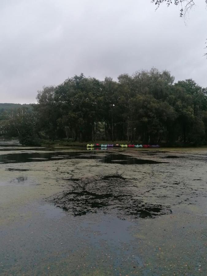 Les Gites De L'Etang De La Foret Brandivy 外观 照片